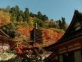 木造十三重塔 談山神社