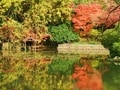 もみじ狩りの名所としても名高い 「龍安寺」