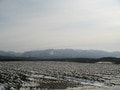 白神山地と絶景と雪人参 「ふかうら雪人参」