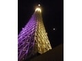 今が旬！ 東京スカイツリーの夜景