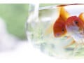 日本で良く見られる金魚の種類
