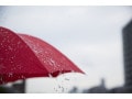 ジャズバラード7選！雨の日に聴きたいジャズアーティストたちの名曲