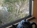 眺めはいい方が、やっぱりイイ