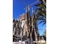 バルセロナの観光地「サグラダ・ファミリア」