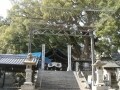 樹齢900年のご神木と巨石　「艮（うしとら）神社」