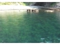 大型魚との遭遇率が高い、伊豆半島最南端の中木・塔島