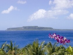 topimg_large.jpg