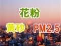 花粉・黄砂・PM2.5対策！春の目を守れ