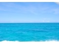 珊瑚の海に浮かぶ 夏の八重山離島巡り