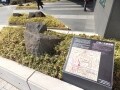 超高層ビルの過去と現在を繋ぐ江戸時代中期の石垣