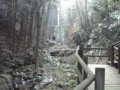 国内でも有数の飲めるラドン温泉「猿投温泉」