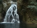 渓谷美を堪能　三重県「赤目四十八滝」
