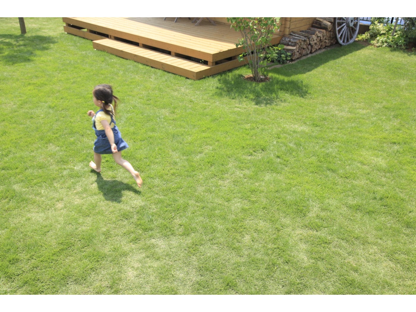 【お得】 topimg_large.jpeg その他