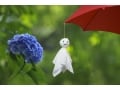 簡単ヘアケアで梅雨のうねり髪対策