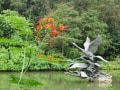 シンガポール植物園（ボタニックガーデン）