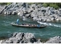 日本三大急流の球磨川で川下りやラフティングを楽しむ
