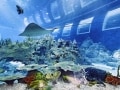 世界最大の水族館シーアクアリウム／シンガポール
