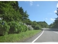 「ターンパイク」で気持ちのいい夏の避暑ドライブを！