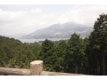 標高1030m！芦ノ湖スカイラインの絶景「三国峠」