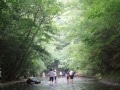 涼を求めて！「岳切渓谷」は、夏ドライブにぴったり