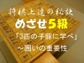 3匹の子豚から学ぶ王の囲い方