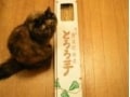 インパクト大の東北土産！ 1m越えのながーい自然薯