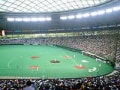プロ野球界、監督のリーダーシップ
