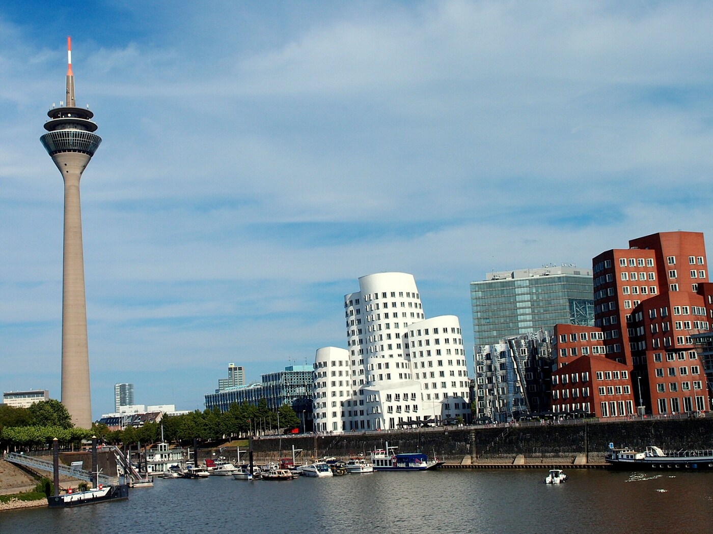 topimg_large.jpg