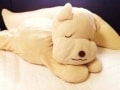 お気に入りの抱き枕でリラックス