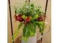 ナチュラルガーデニングに「寄せ植え」はいかがですか