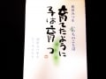 親の理想は考え直して 『育てたように子は育つ』