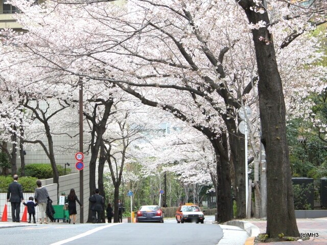 800__117-001.JPG