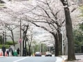 溜池山王駅徒歩2分、港区赤坂1丁目「サイオン桜坂」