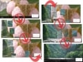Skitterで迫力ある効果のスライドショーを作る方法