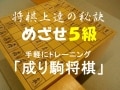 将棋の序盤感覚を磨くトレーニング～成り駒将棋～