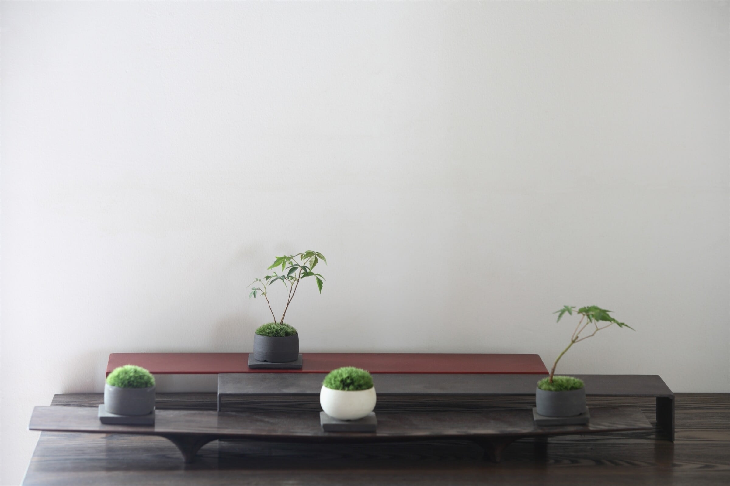 盆栽鉢の選び方とは？ 見どころや特徴があり、植物にも優しい！ [盆栽