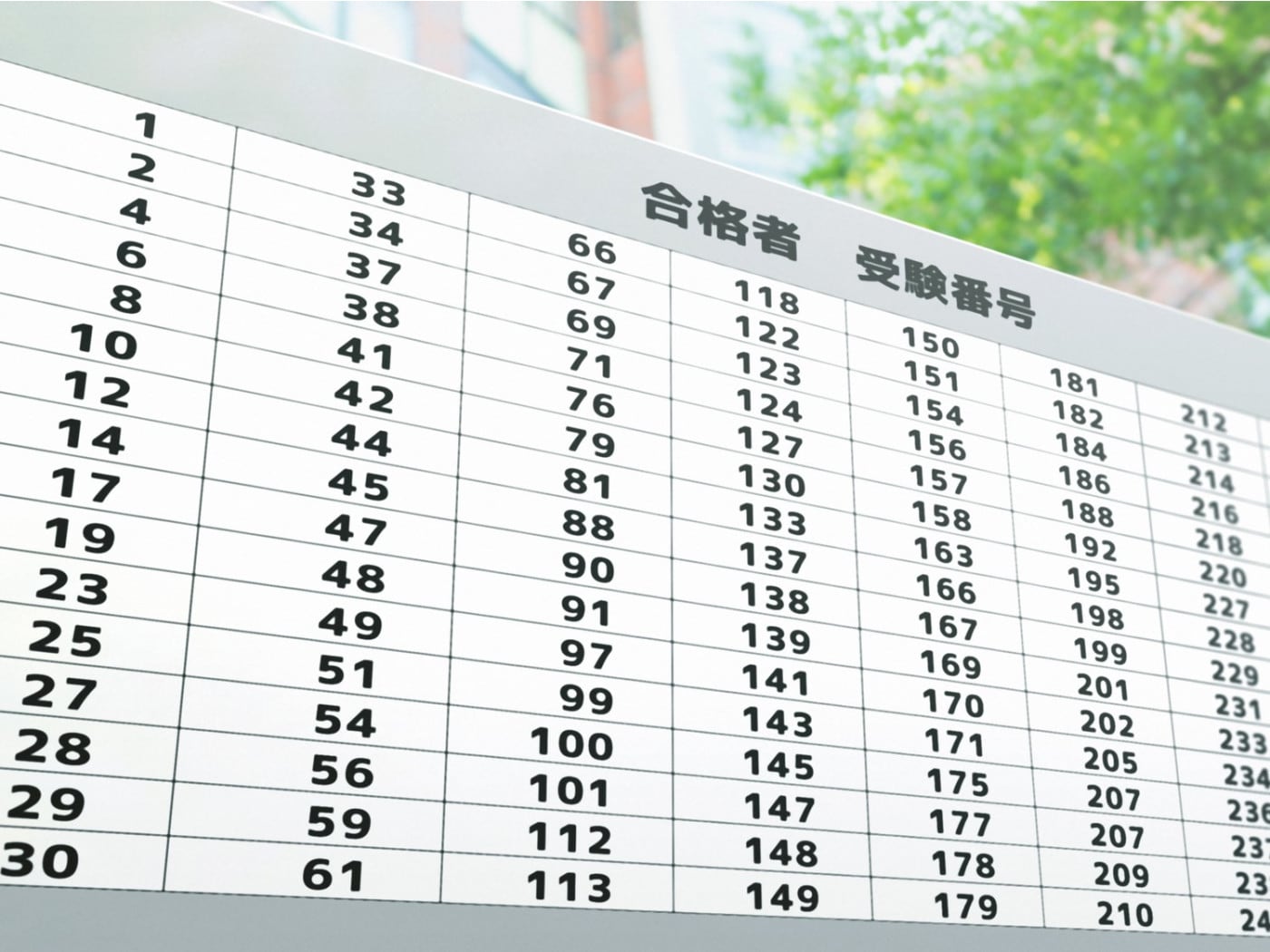公の場での発言・インタビュー報道記録