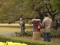 ツッコミどころ満載の「産後クライシス」論争