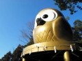幸せを運ぶフクロウの神社　鷲子山上神社