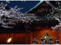 都内の穴場夜桜スポット・靖国神社「奉納夜桜能」