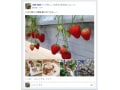 Facebook新デザイン、4つの特徴でどう変わる？