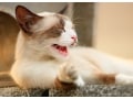 1億2000万分の1の「笑っていいとも!」 その2