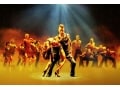 興奮のダンス『バーン・ザ・フロア』、人気ペアに聞く
