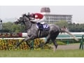 夏のグランプリに熱狂！　6月の注目レース