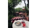 とっておき鎌倉カフェ『樹ガーデン』『ミルクホール』