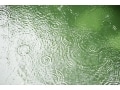 雨の日でもダイビングはできる？注意点と防寒対策法