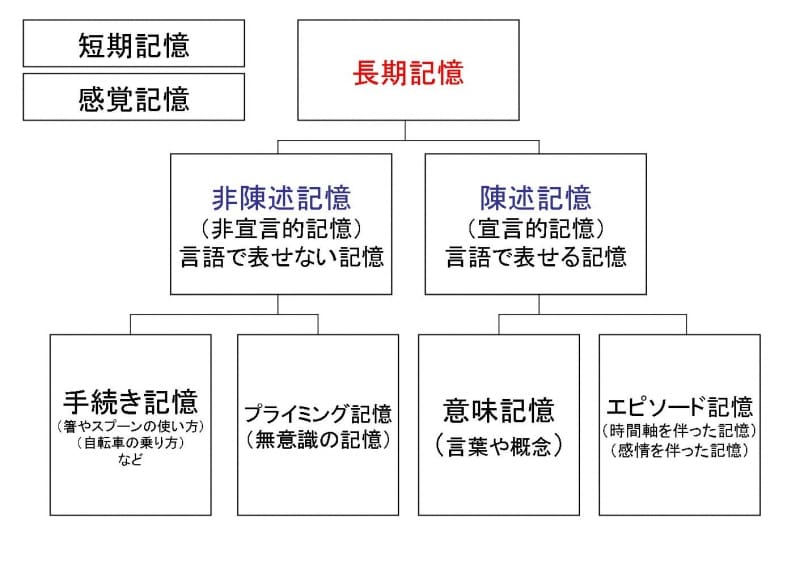 【超特価sale開催】  記憶の種類について解説！ 理学療法士の勉強法 All [理学療法士] 看護学