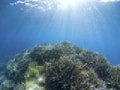 自己変革のリーダーシップ－意志力と継続力の大切さ