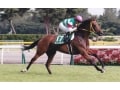 8月の注目レース～秋への飛躍を誓って～