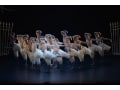 マシュー・ボーンの『白鳥の湖』に夢うつつ